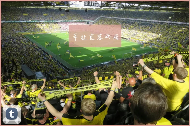 辛杜直落两局
