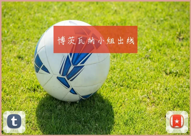 博茨瓦纳小组出线