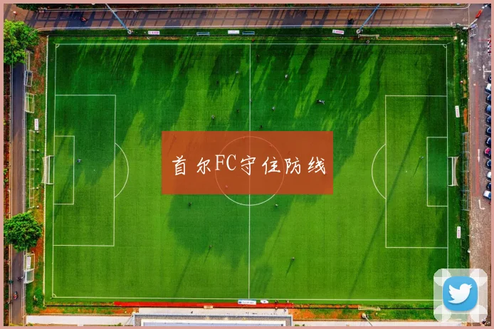 首尔FC守住防线