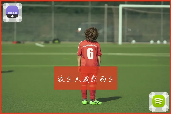 波兰大战新西兰