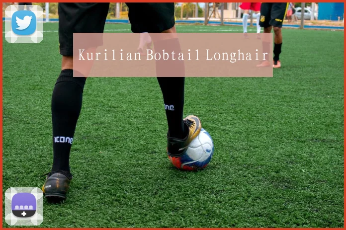 Kurilian Bobtail Longhair