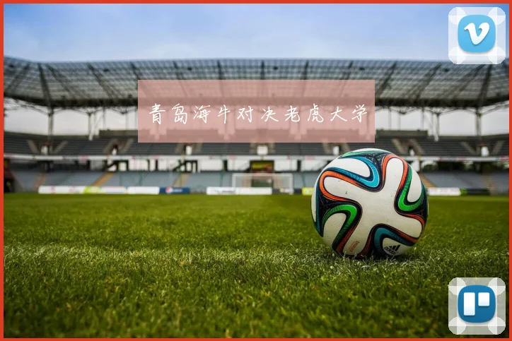 青岛海牛对决老虎大学