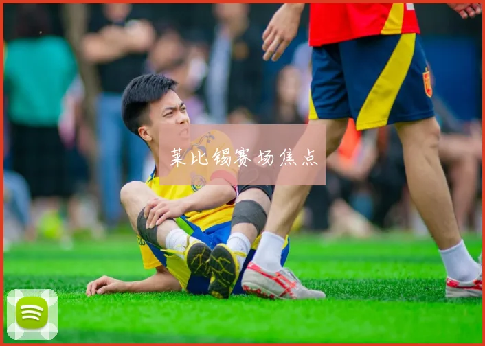 莱比锡赛场焦点