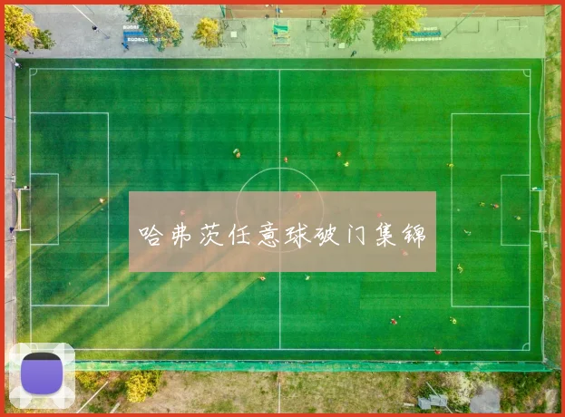 哈弗茨任意球破门集锦