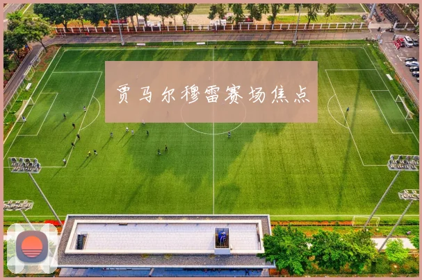 贾马尔穆雷赛场焦点