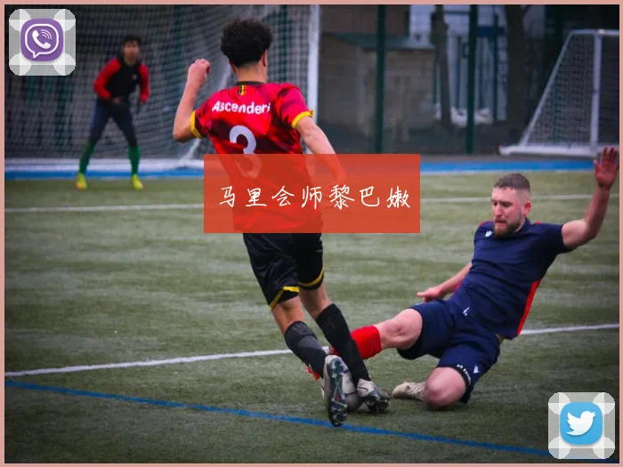 马里会师黎巴嫩