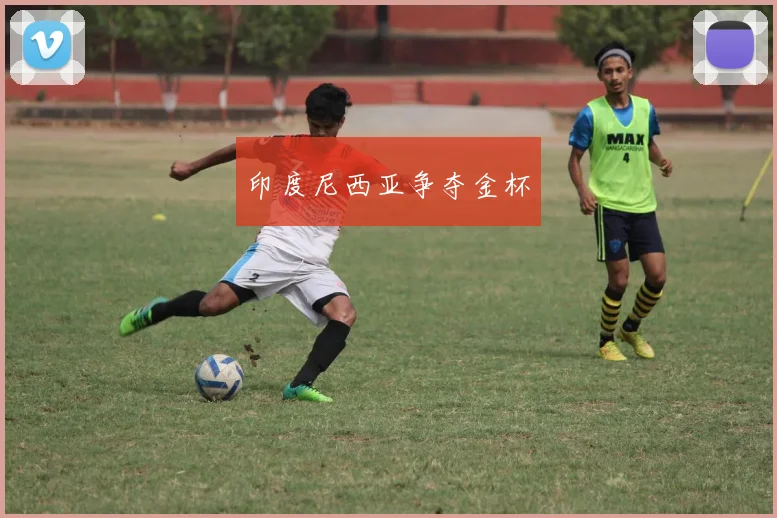 印度尼西亚争夺金杯