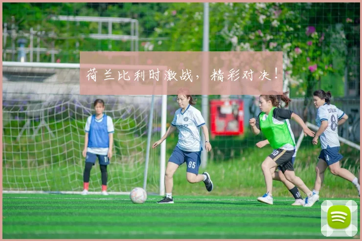 荷兰比利时激战，精彩对决！