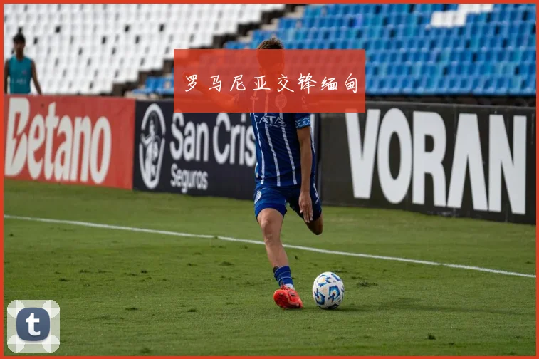 罗马尼亚交锋缅甸