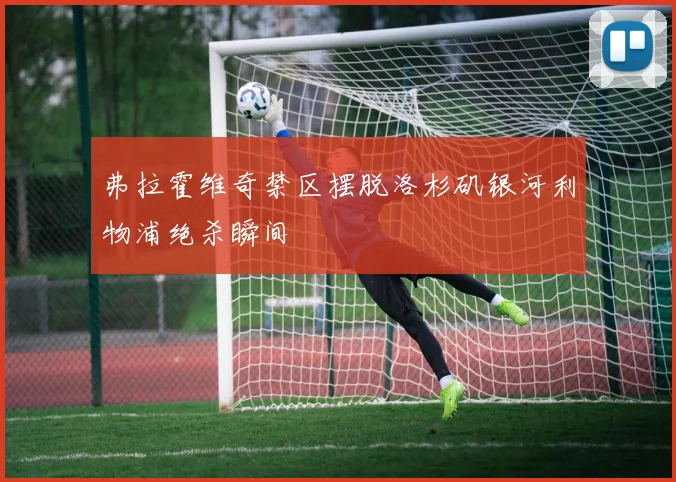 弗拉霍维奇禁区摆脱洛杉矶银河利物浦绝杀瞬间