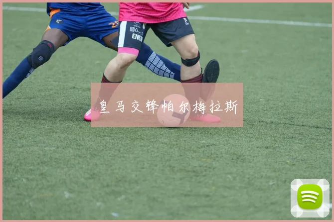 皇马交锋帕尔梅拉斯