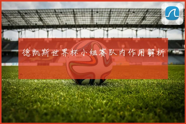 德凯斯世界杯小组赛队内作用解析