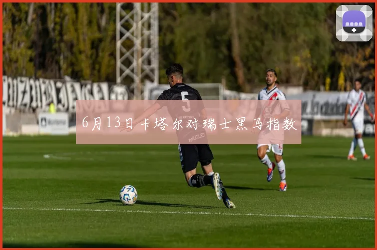 6月13日卡塔尔对瑞士黑马指数