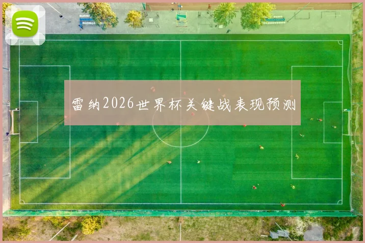 雷纳2026世界杯关键战表现预测