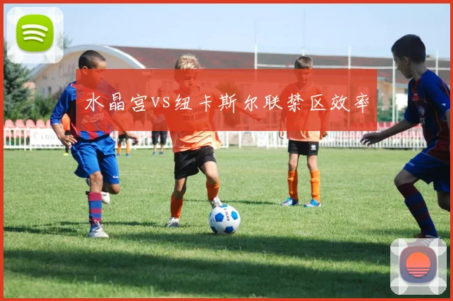 水晶宫vs纽卡斯尔联禁区效率